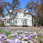 作、宮川総一郎「僕の奇妙な同居人」短編小説