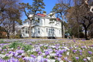 作、宮川総一郎「僕の奇妙な同居人」短編小説